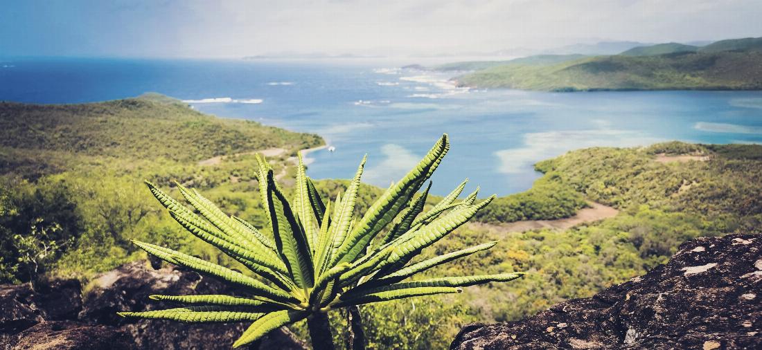 La Martinique